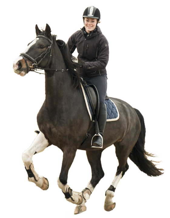 Vast en zeker Melodrama landelijk Fit4Riding – Clinics, therapie en training voor ruiter en paard